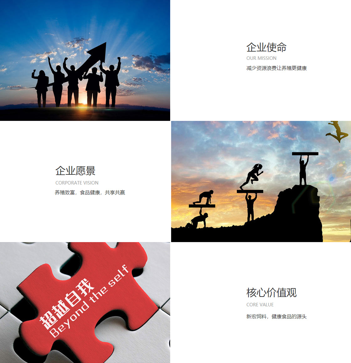 球王会体育综合app下载(图1)
